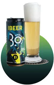 Ibeer evoluzione 3.0 33cl